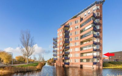 Schelphoek 4
