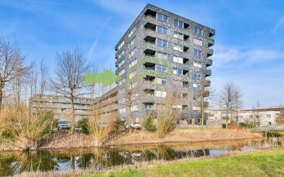 Rottumeroog 42