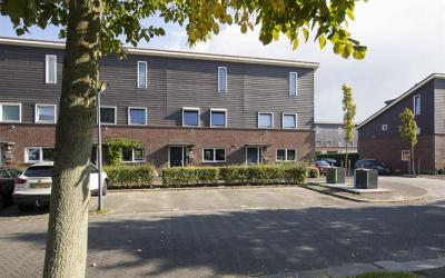 Lauwers 15