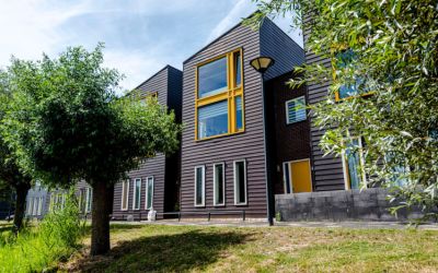 Schildgrond. 9