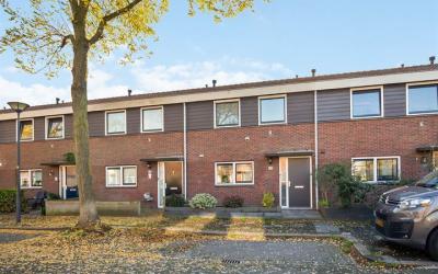 Schildgrond. 60