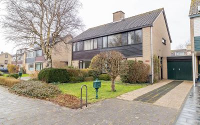 Spieringweg 1061