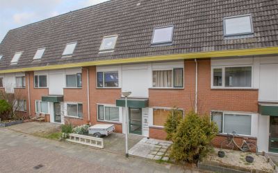 Constantijn. 18
