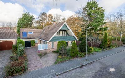 Meeuwenlaan 50
