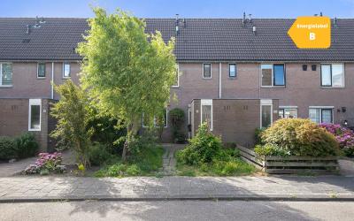 Muntstraat 8