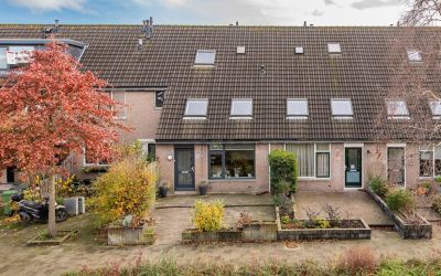 Muntstraat 84