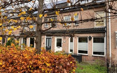 Muntstraat 178
