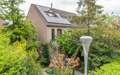 Muntstraat 179