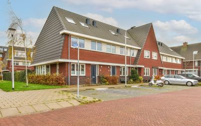 Zwaan 7