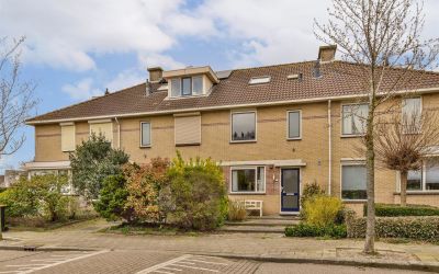 Vliegeniers. 38