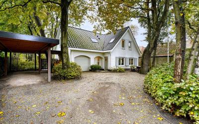 Nachtegaall. 2