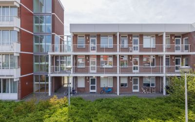 Jeroenspark 43