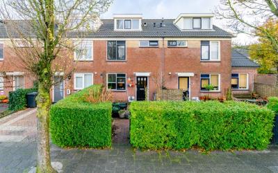 Hoogtij 58