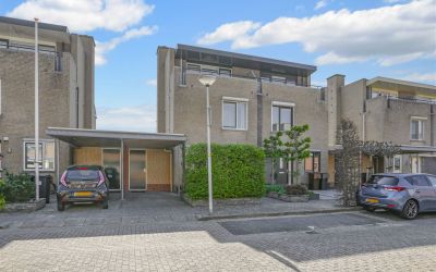 Pioen 30