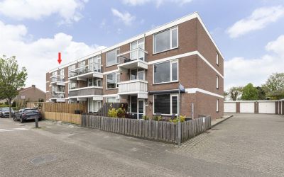 Braambos 21