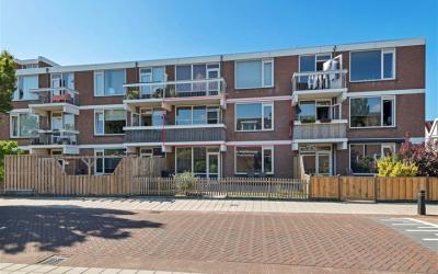 Braambos 31