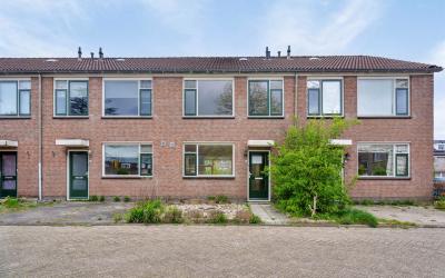 Zwanebloems. 10