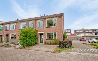 Zwanebloems. 12