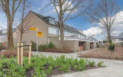 Beukenrode 81