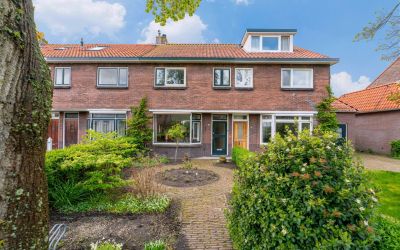 Rijnsburger. 28