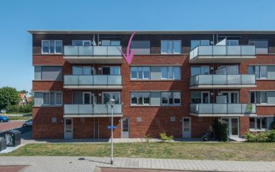 Buxushaag 30