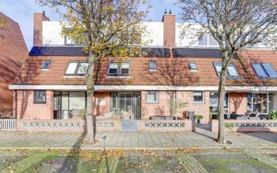 Noorderlicht 40