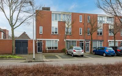 Schorpioen 51