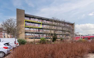 Troelstrast. 65