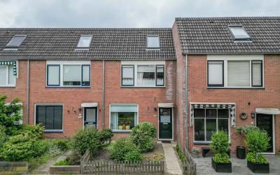 Paardebloem 22