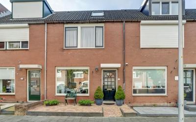 Ridderspoor 12