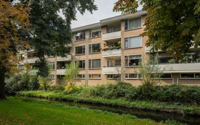Eikensteins. 43