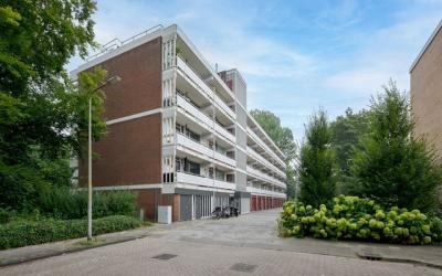 Seringenlaan 49
