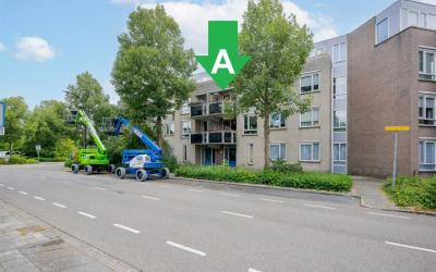Bertus van. 31