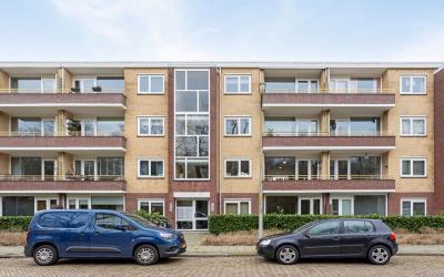 Van Beethov. 113