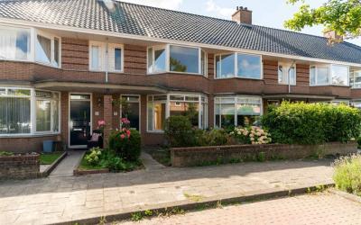 Zanglijster. 3