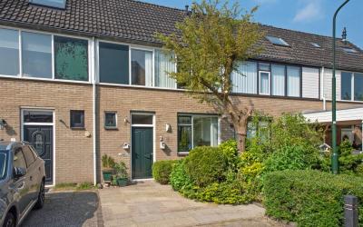 Doornenburg 3