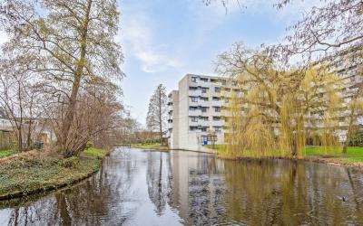 De Haar 71