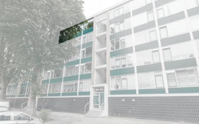 Burgemeeste. 91