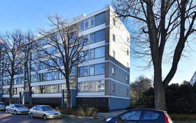 Burgemeeste. 331