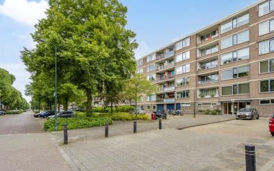 Burgemeeste. 308