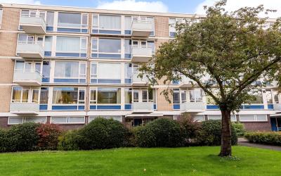 Schout Van. 209