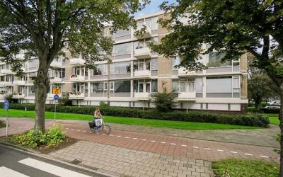 Schout Van. 226