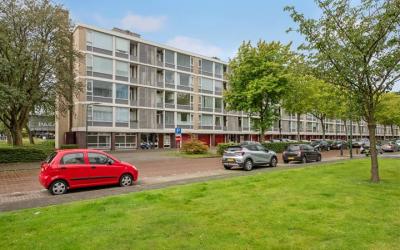 Schout Van. 228
