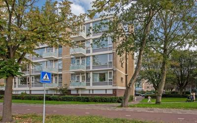 Schout Van. 234