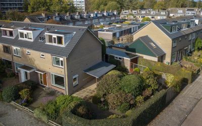 Graaf Adolf. 12