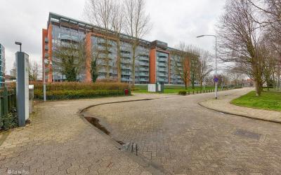 Dokter Van. 130