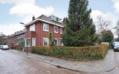 Veldzichtka. 10