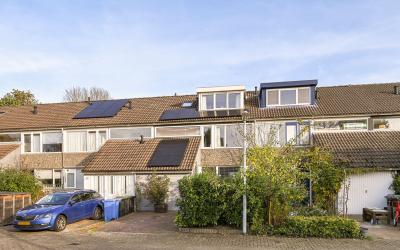 Populierend. 910