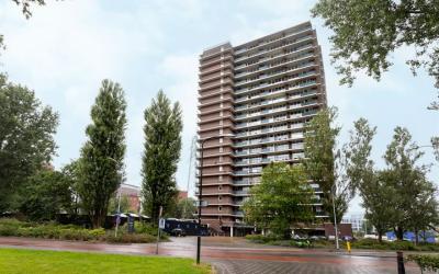 Populierend. 299
