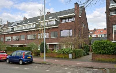 Laan van Nieuw Oosteinde 244